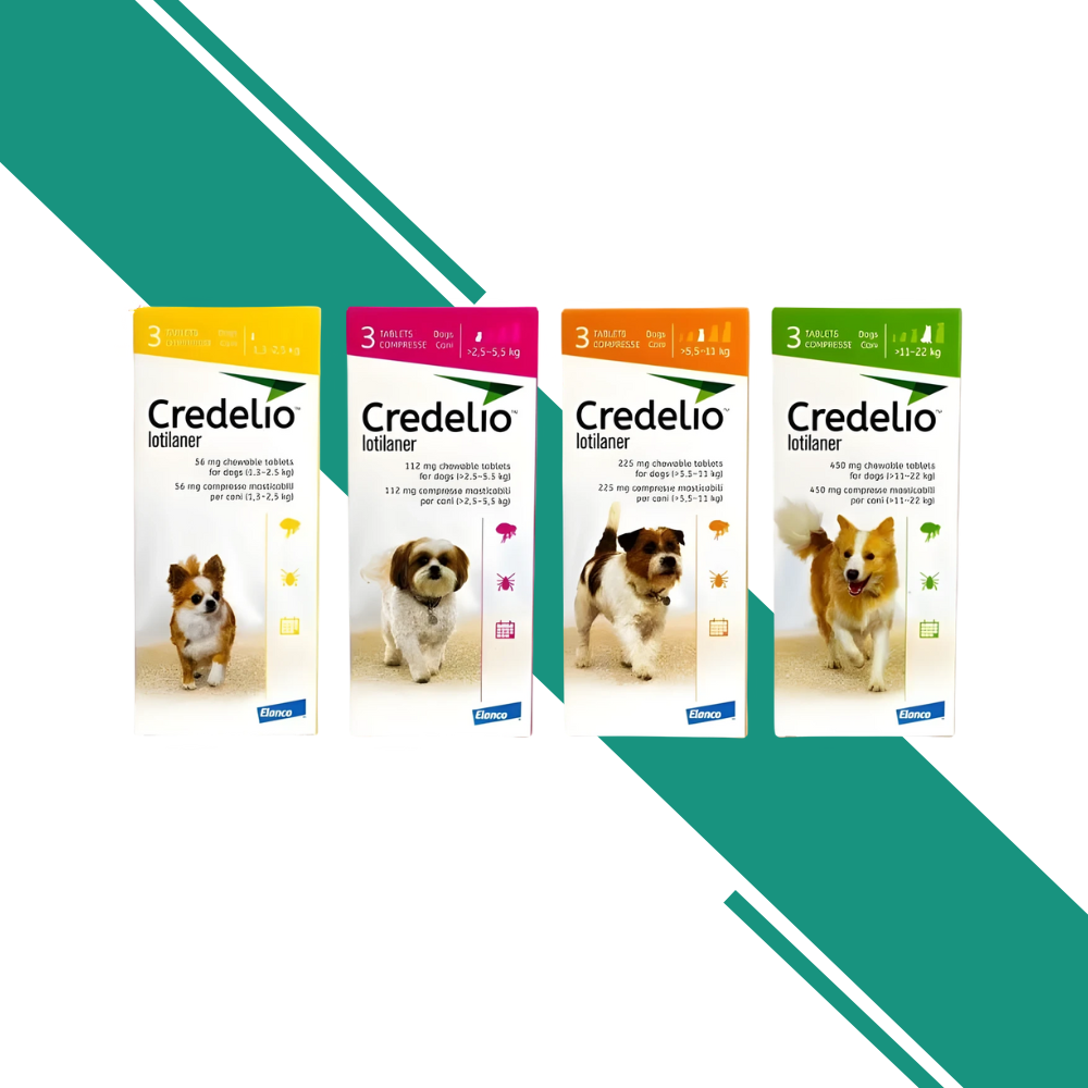 Credelio Flea and Tick Control Chewable Tablets for Dogs